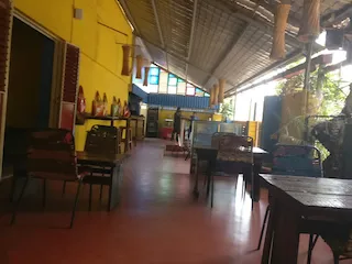 Bouganvilla in Hubli