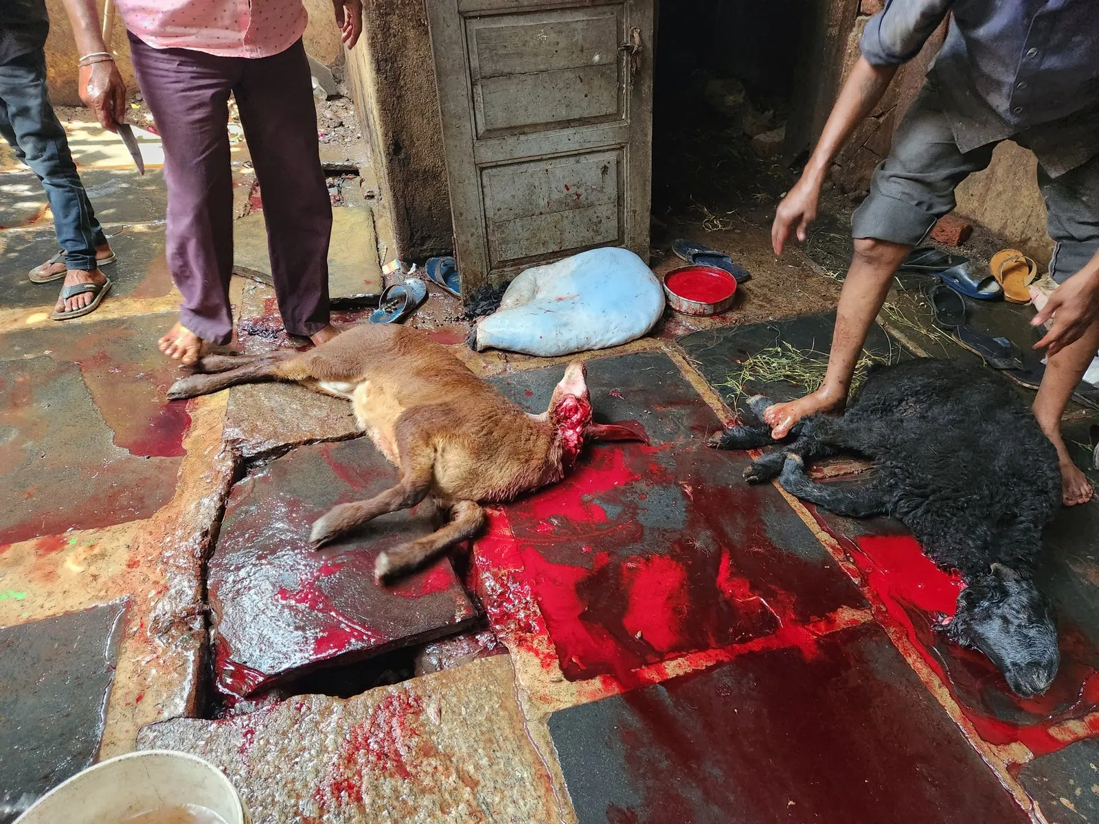 The 1st step of meat processing
