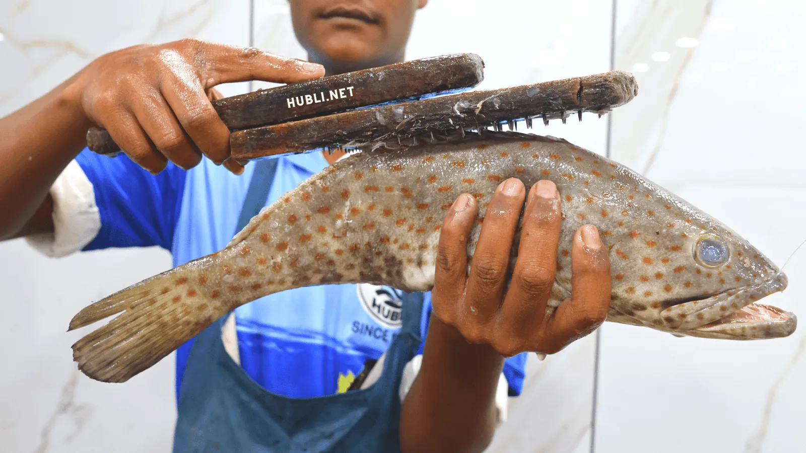 Cleaning off the fish coat