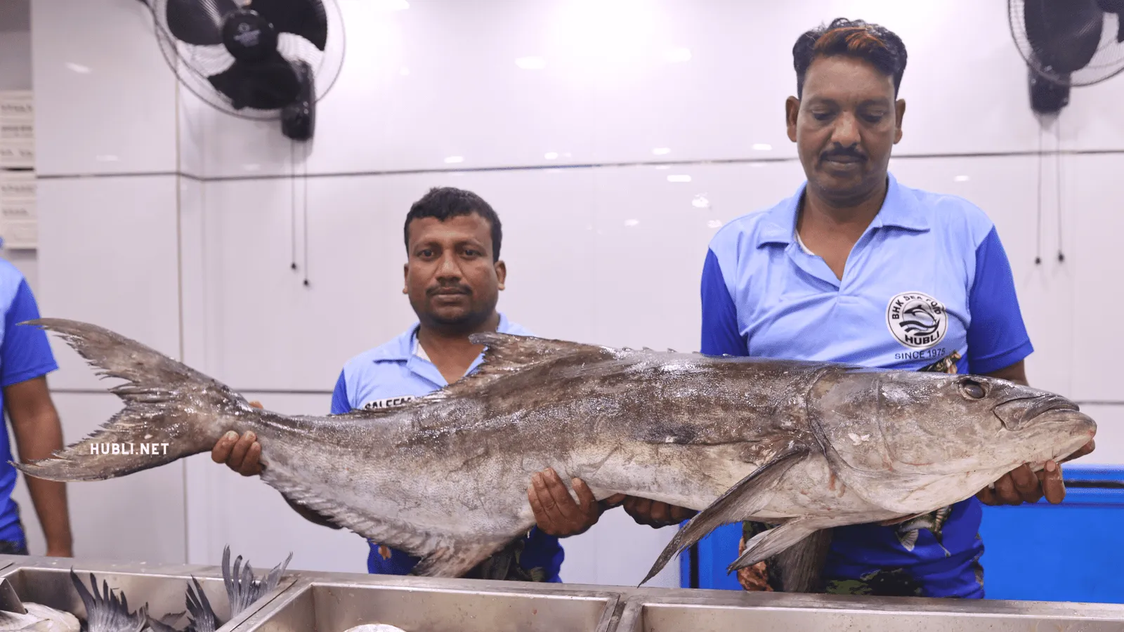 BHK Fish Mall Ganesh Peth, Big fish pose